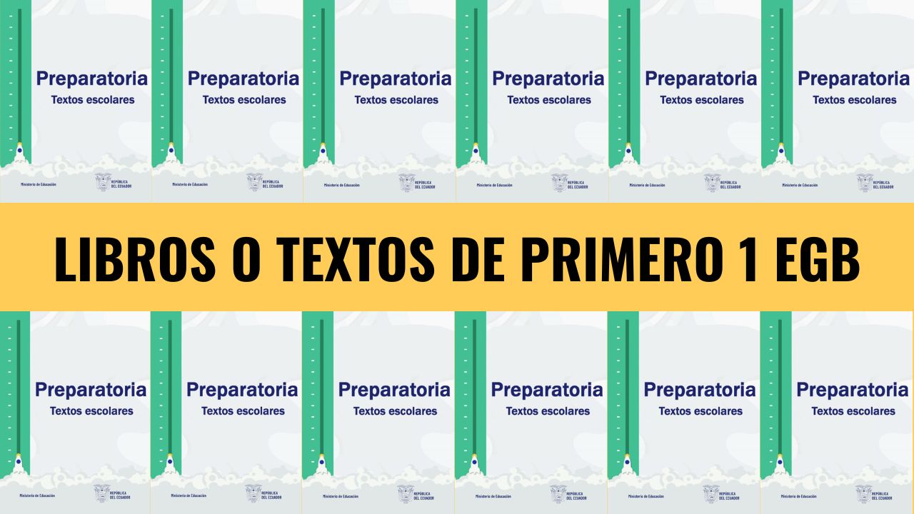 Libros De Primero 1ro EGB 2024 2025