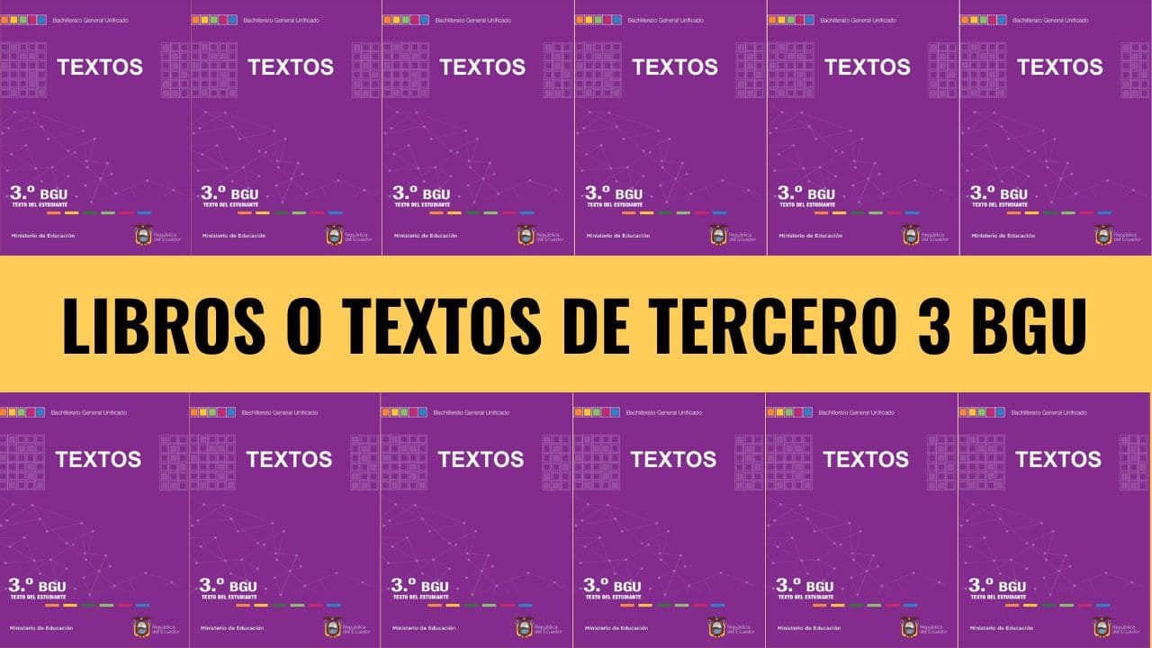 Libros De Tercero De Bachillerato 3BGU (2024-2025)