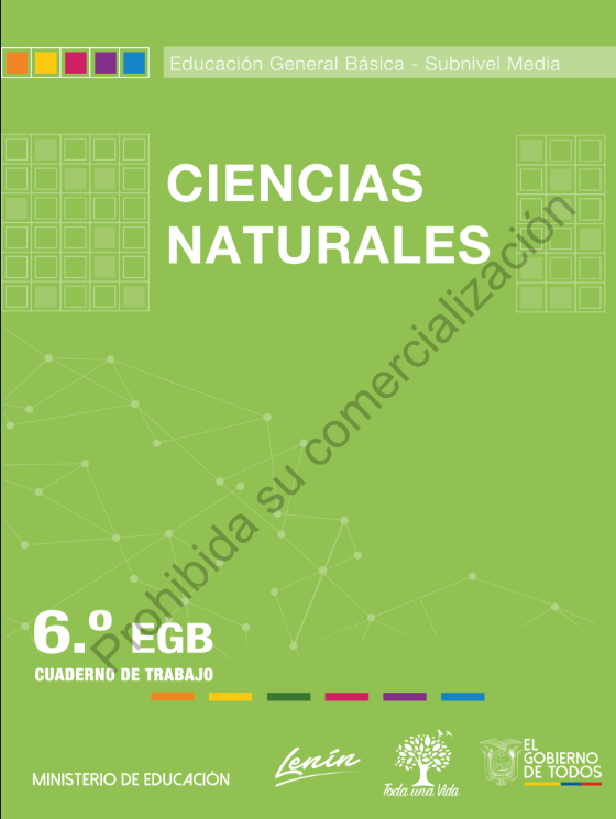 Cuaderno de trabajo de ciencias naturales de sexto grado
